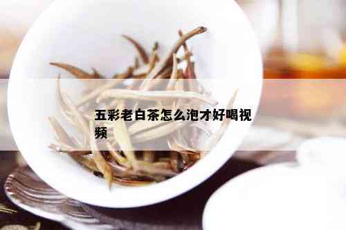 五彩老白茶怎么泡才好喝视频