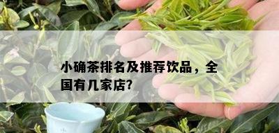 小确茶排名及推荐饮品，全国有几家店？