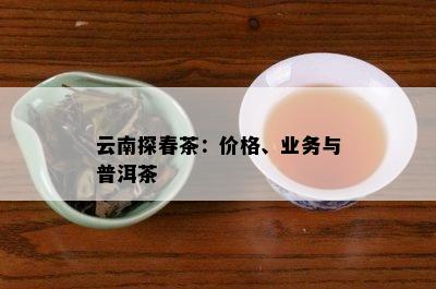 云南探春茶：价格、业务与普洱茶