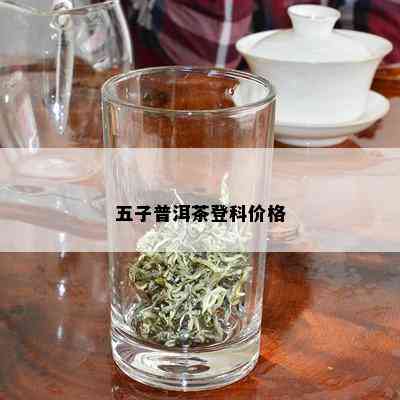 五子普洱茶登科价格