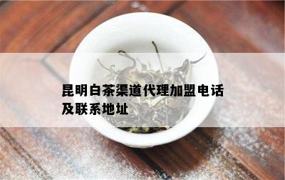 昆明白茶渠道代理加盟电话及联系地址