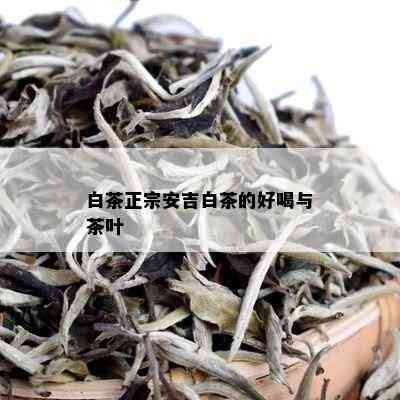 白茶正宗安吉白茶的好喝与茶叶