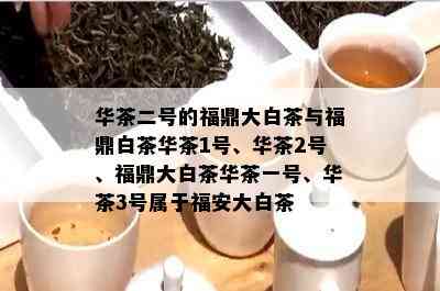 华茶二号的福鼎大白茶与福鼎白茶华茶1号、华茶2号、福鼎大白茶华茶一号、华茶3号属于福安大白茶