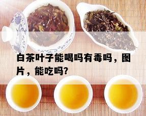 白茶叶子能喝吗有吗，图片，能吃吗？