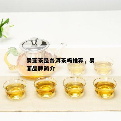 易菲茶是普洱茶吗推荐，易菲品牌简介