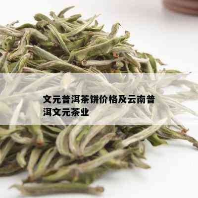 文元普洱茶饼价格及云南普洱文元茶业