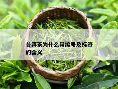 普洱茶为什么带编号及标签的含义