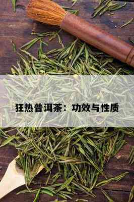 狂热普洱茶：功效与性质