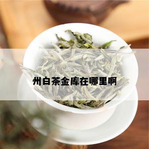 州白茶金库在哪里啊