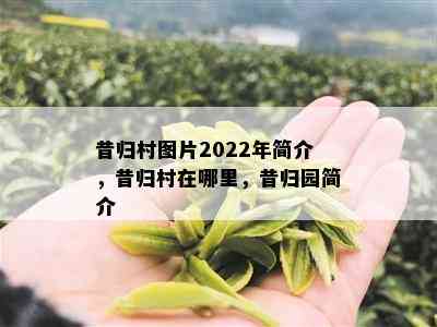 昔归村图片2022年简介，昔归村在哪里，昔归园简介