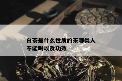 白茶是什么性质的茶哪类人不能喝以及功效