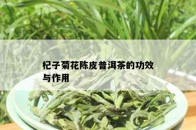 杞子菊花陈皮普洱茶的功效与作用