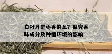 白牡丹是枣香的么？探究香味成分及种植环境的影响