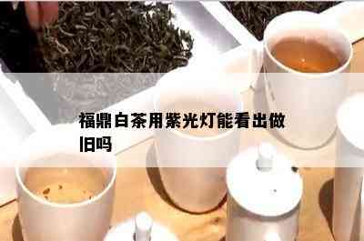 福鼎白茶用紫光灯能看出做旧吗