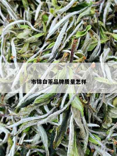 市锦白茶品牌质量怎样