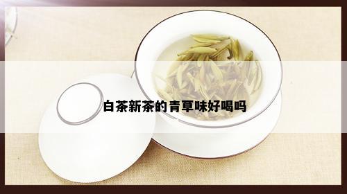 白茶新茶的青草味好喝吗