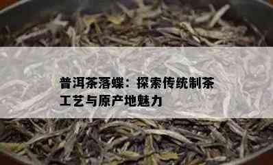 普洱茶落蝶：探索传统制茶工艺与原产地魅力