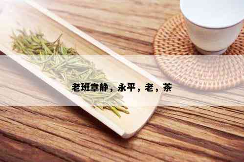 老班章静，永平，老，茶