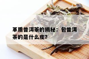 革质普洱茶的揭秘：包普洱茶的是什么皮？