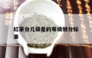 红茶分几级是的等级划分标准