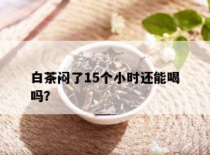 白茶闷了15个小时还能喝吗？