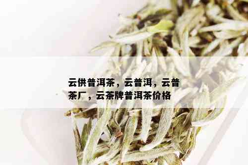 云供普洱茶，云普洱，云普茶厂，云茶牌普洱茶价格