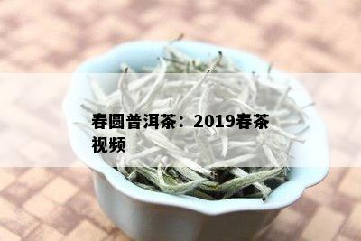 春圆普洱茶：2019春茶视频