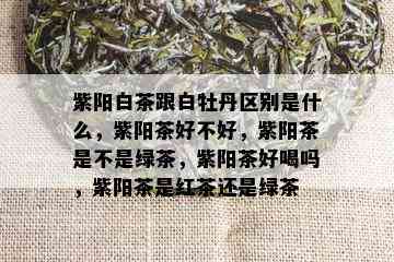 紫阳白茶跟白牡丹区别是什么，紫阳茶好不好，紫阳茶是不是绿茶，紫阳茶好喝吗，紫阳茶是红茶还是绿茶