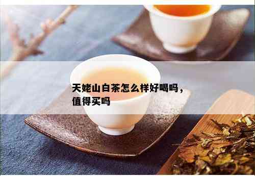 天姥山白茶怎么样好喝吗，值得买吗