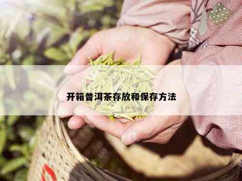 开箱普洱茶存放和保存方法