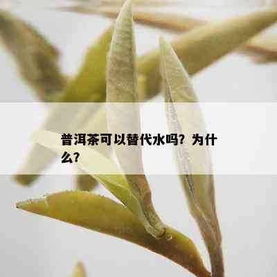 普洱茶可以替代水吗？为什么？