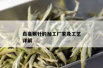 白毫银针的加工厂家及工艺详解