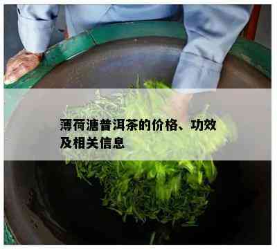 薄荷溏普洱茶的价格、功效及相关信息