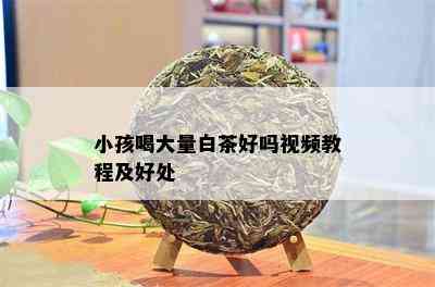 小孩喝大量白茶好吗视频教程及好处