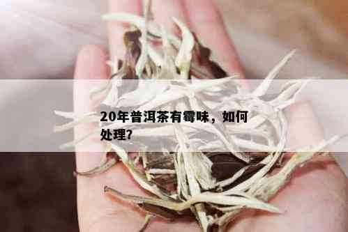 20年普洱茶有霉味，如何处理？