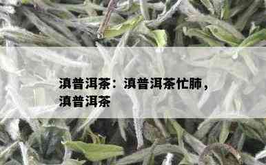 滇普洱茶：滇普洱茶忙肺，滇普洱茶