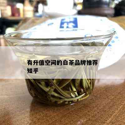 有升值空间的白茶品牌推荐知乎