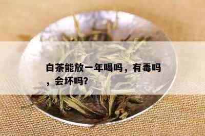 白茶能放一年喝吗，有吗，会坏吗？