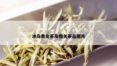 冰岛黄皮茶及相关茶品图片