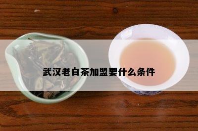 武汉老白茶加盟要什么条件