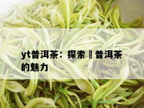 yt普洱茶：探索槚普洱茶的魅力