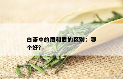 白茶中的眉和眉的区别：哪个好？