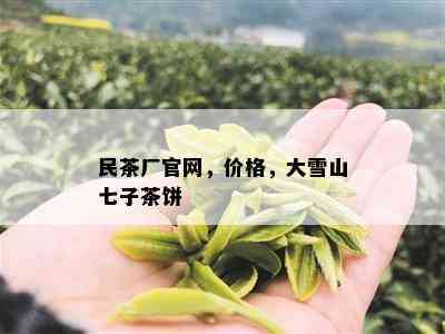 民茶厂官网，价格，大雪山七子茶饼