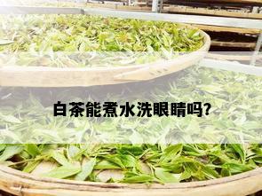 白茶能煮水洗眼睛吗？