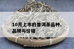 10月上市的普洱茶品种、品牌与价格