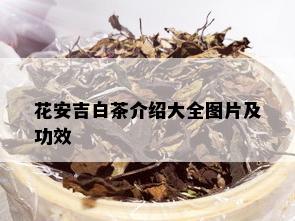 花安吉白茶介绍大全图片及功效