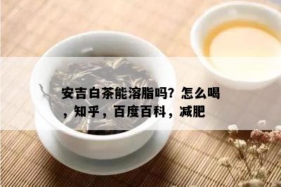 安吉白茶能溶脂吗？怎么喝，知乎，百度百科，减肥