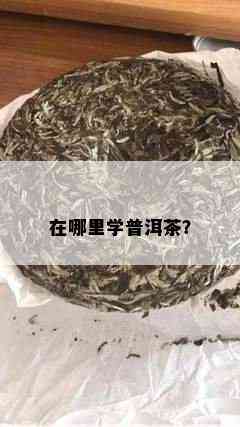 在哪里学普洱茶？