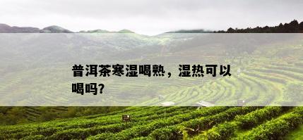 普洱茶寒湿喝熟，湿热可以喝吗？