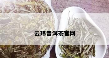 云玮普洱茶官网